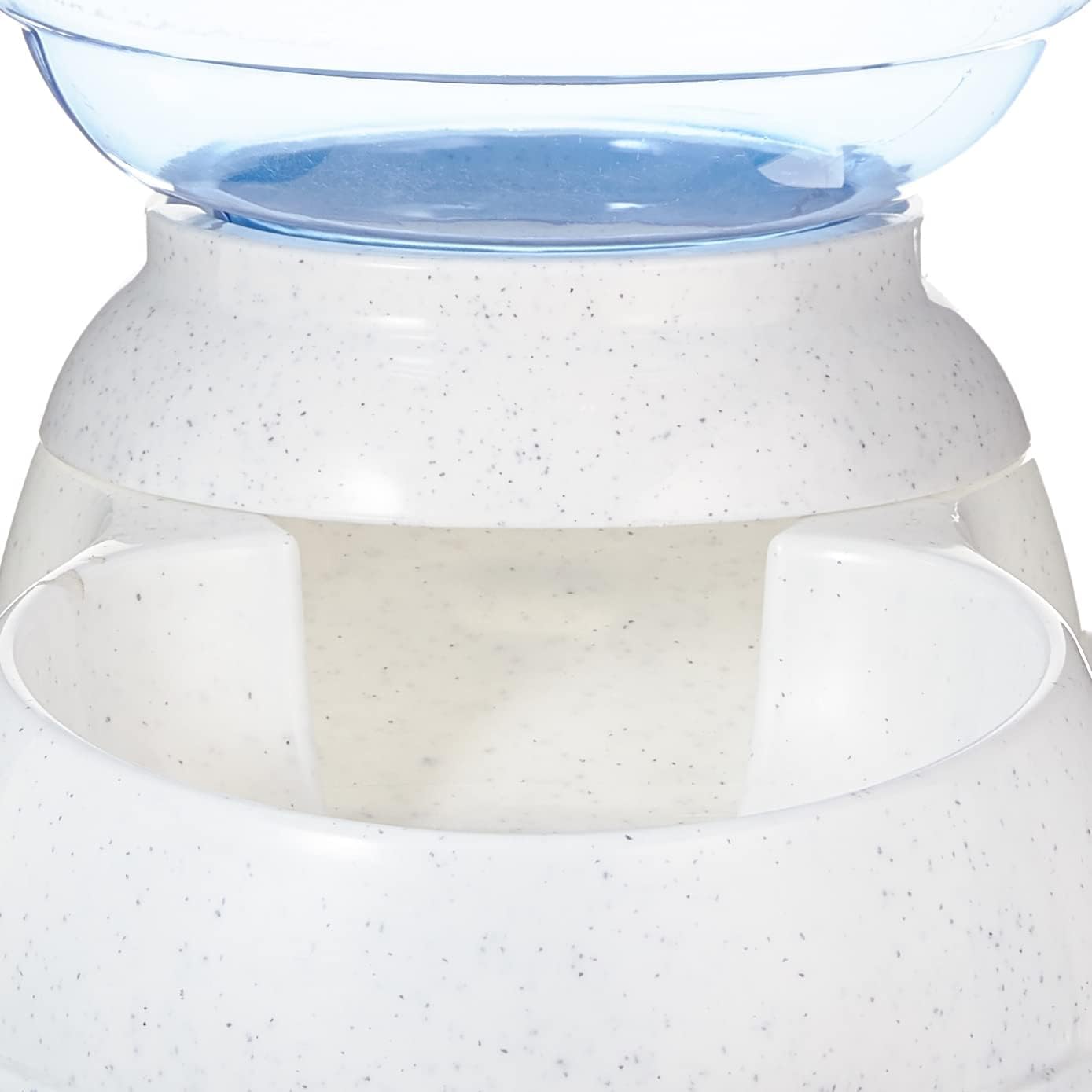 Amazon Basics Distributeur d'eau 1 gallons pour Chiens et chats, 3.8 litres, Petite taille, Transparent