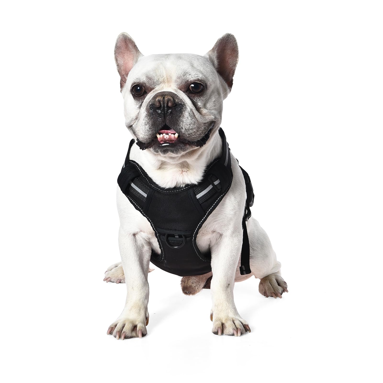 Harnais Chien Sans Traction Réglable & Rembourré – Bandes Réfléchissantes | Amazon Basics
