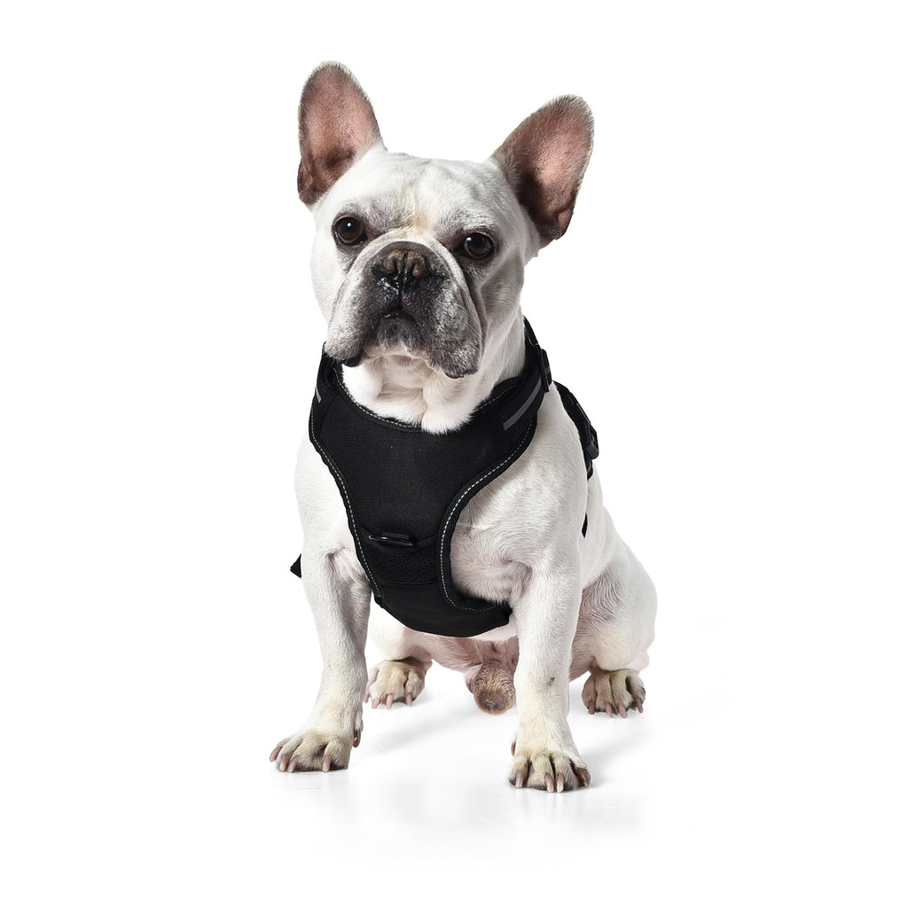Harnais Chien Sans Traction Réglable & Rembourré – Bandes Réfléchissantes | Amazon Basics