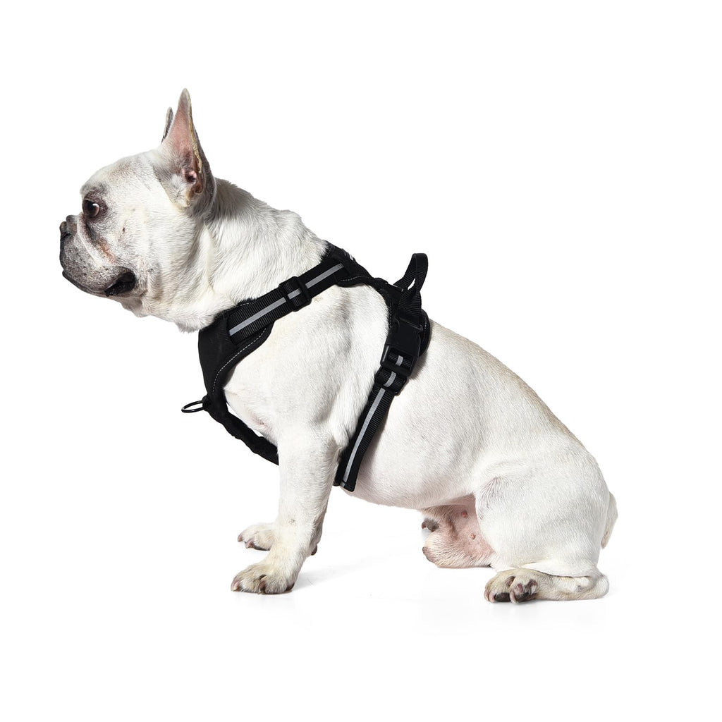 Harnais Chien Sans Traction Réglable & Rembourré – Bandes Réfléchissantes | Amazon Basics