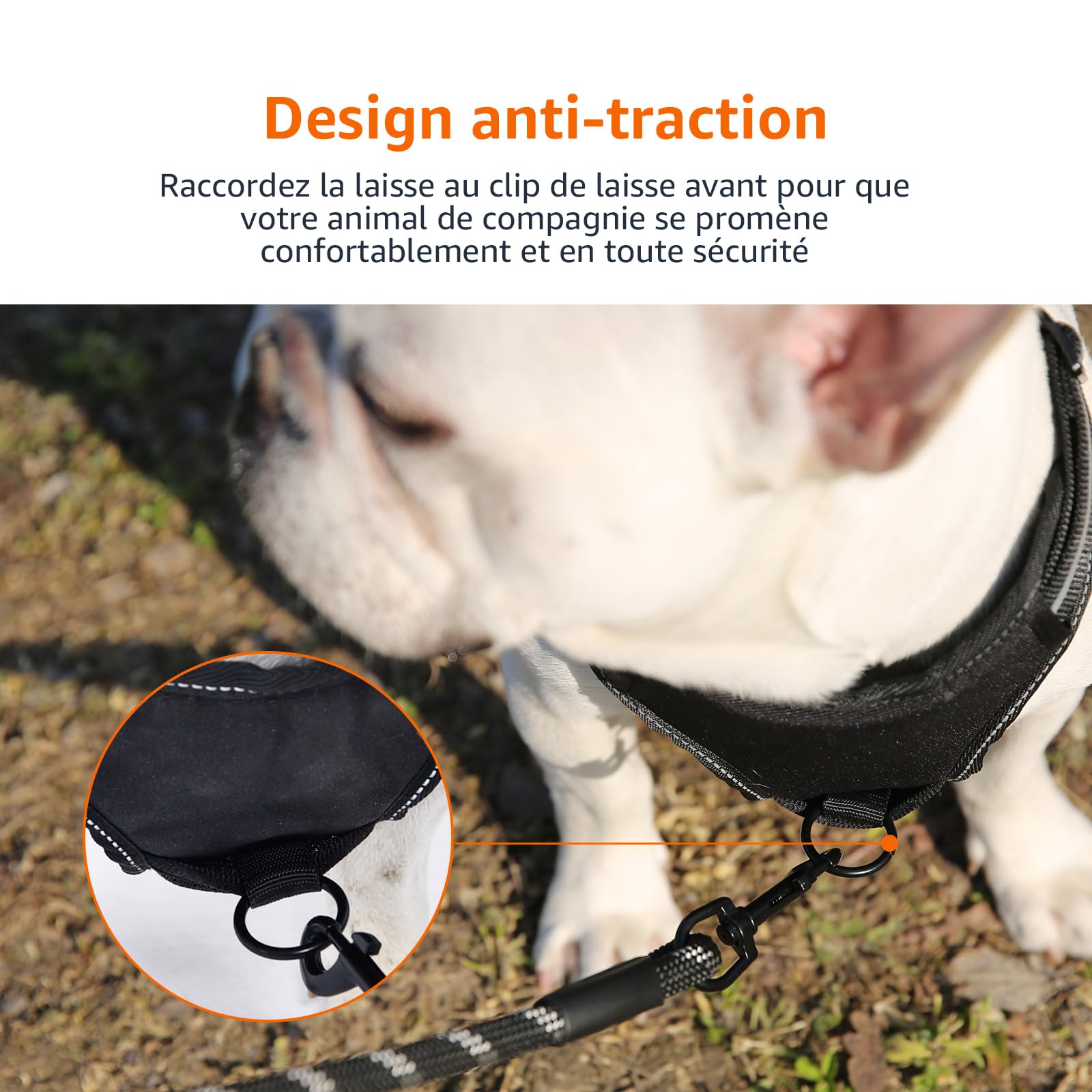 Harnais Chien Sans Traction Réglable & Rembourré – Bandes Réfléchissantes | Amazon Basics
