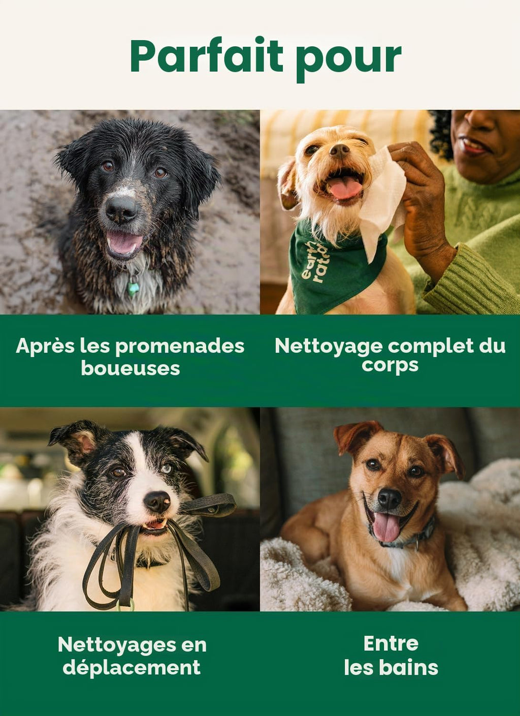 Earth Rated Lingettes hypoallergéniques pour Chiens, nettoyantes et Anti-odeurs, pour Pattes, Corps et arrière-Train, parfaites pour Chiots et Chiens Adultes, sans Parfum, 100 lingettes