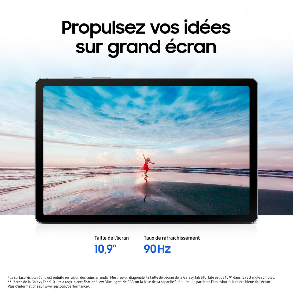 Samsung Galaxy Tab S10 Lite 10.9'' Wi-Fi – 128 Go, S Pen Inclus, Chargeur 25W, Android 15, Gris | Version FR