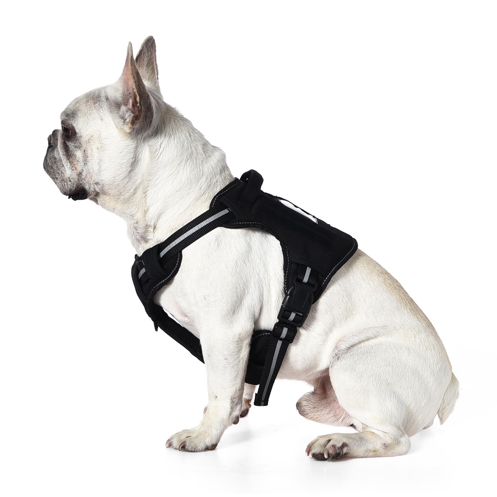 Harnais Chien Sans Traction Réglable & Rembourré – Bandes Réfléchissantes | Amazon Basics