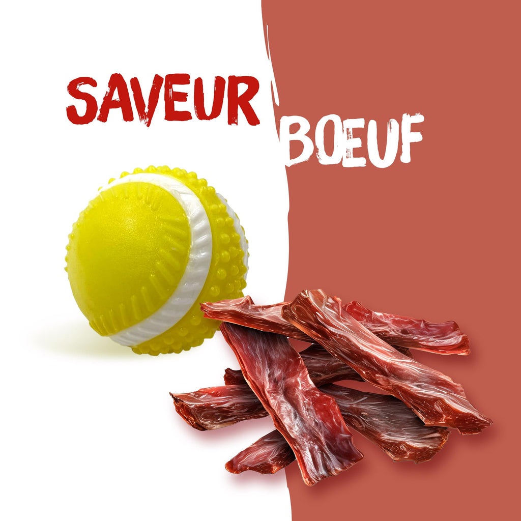 Aimé - Balle pour Chien 5 en 1 Saveur Bœuf - Jouet Interactif/Éducatif pour Développer et Stimuler les 5 Sens - Résistant Toutes Races et Tous Âges - Balle 6 cm