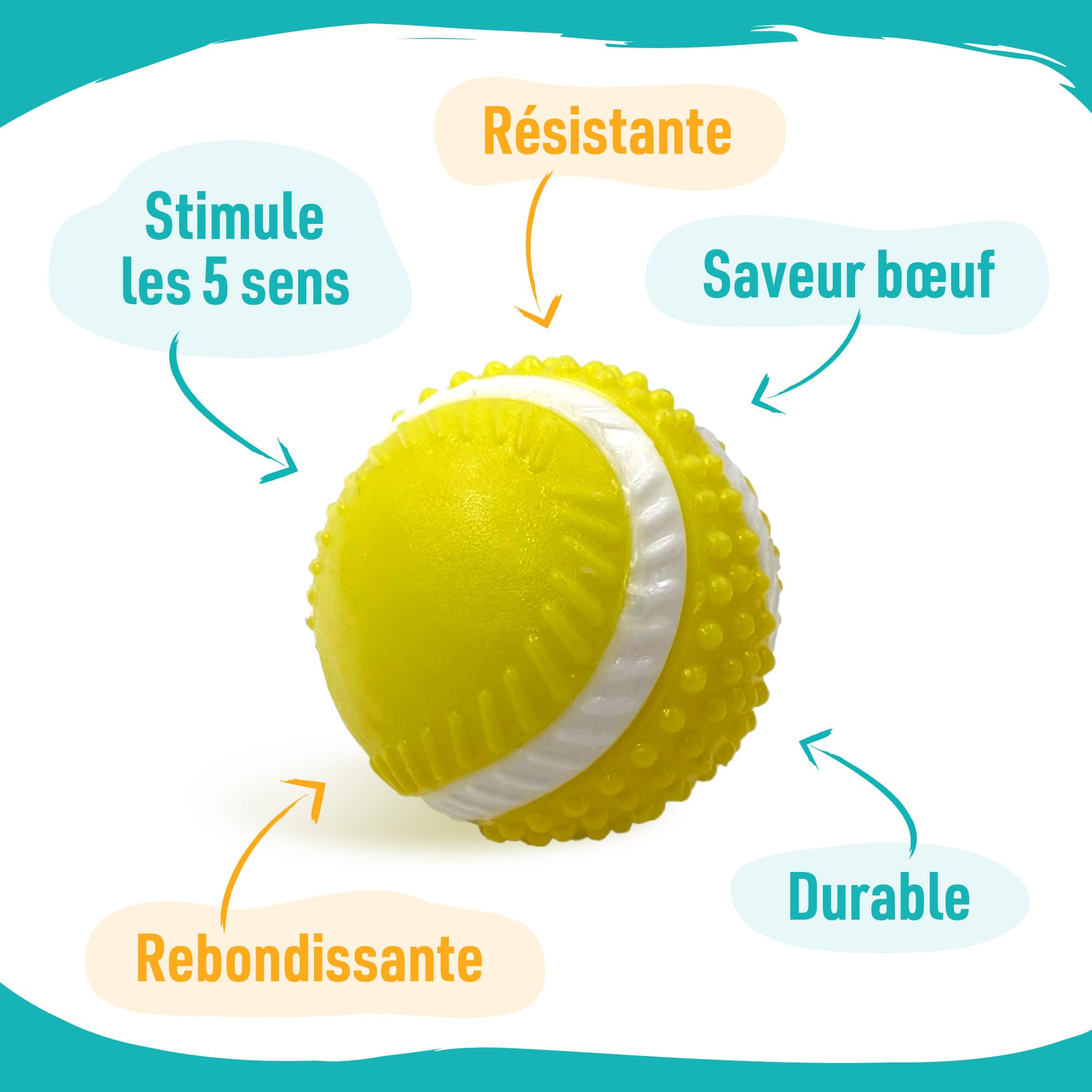 Aimé - Balle pour Chien 5 en 1 Saveur Bœuf - Jouet Interactif/Éducatif pour Développer et Stimuler les 5 Sens - Résistant Toutes Races et Tous Âges - Balle 6 cm