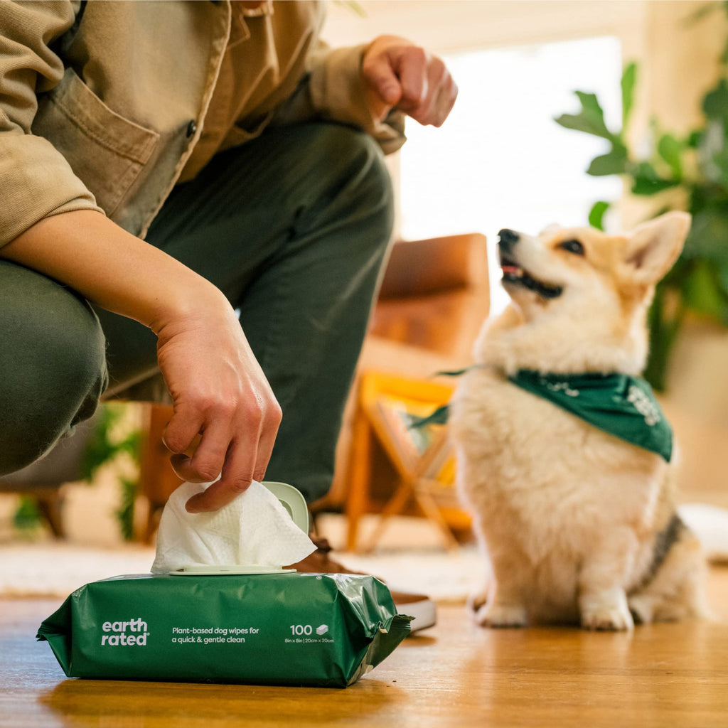 Earth Rated Lingettes hypoallergéniques pour Chiens, nettoyantes et Anti-odeurs, pour Pattes, Corps et arrière-Train, parfaites pour Chiots et Chiens Adultes, sans Parfum, 100 lingettes