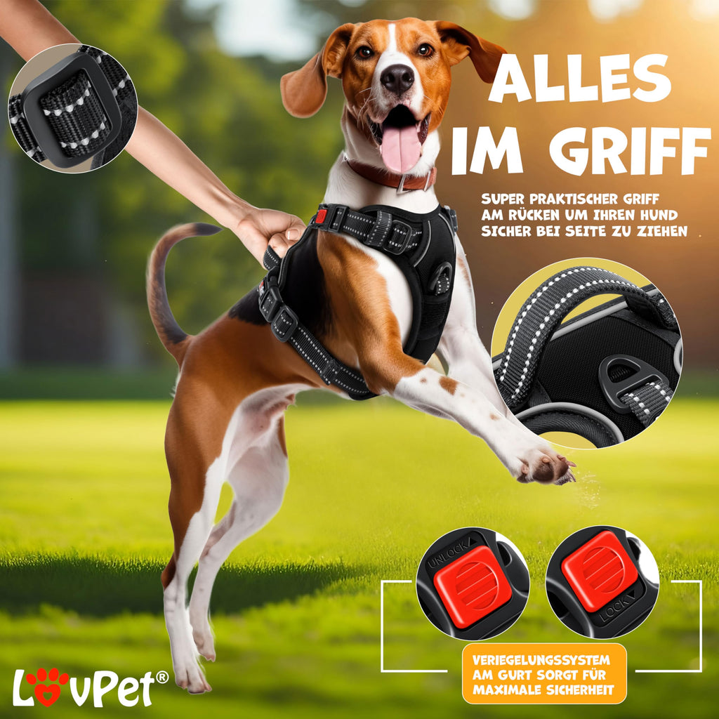 Harnais Chien Lovpet Réfléchissant Anti-Traction – Réglable XS à XL | Sacs Inclus