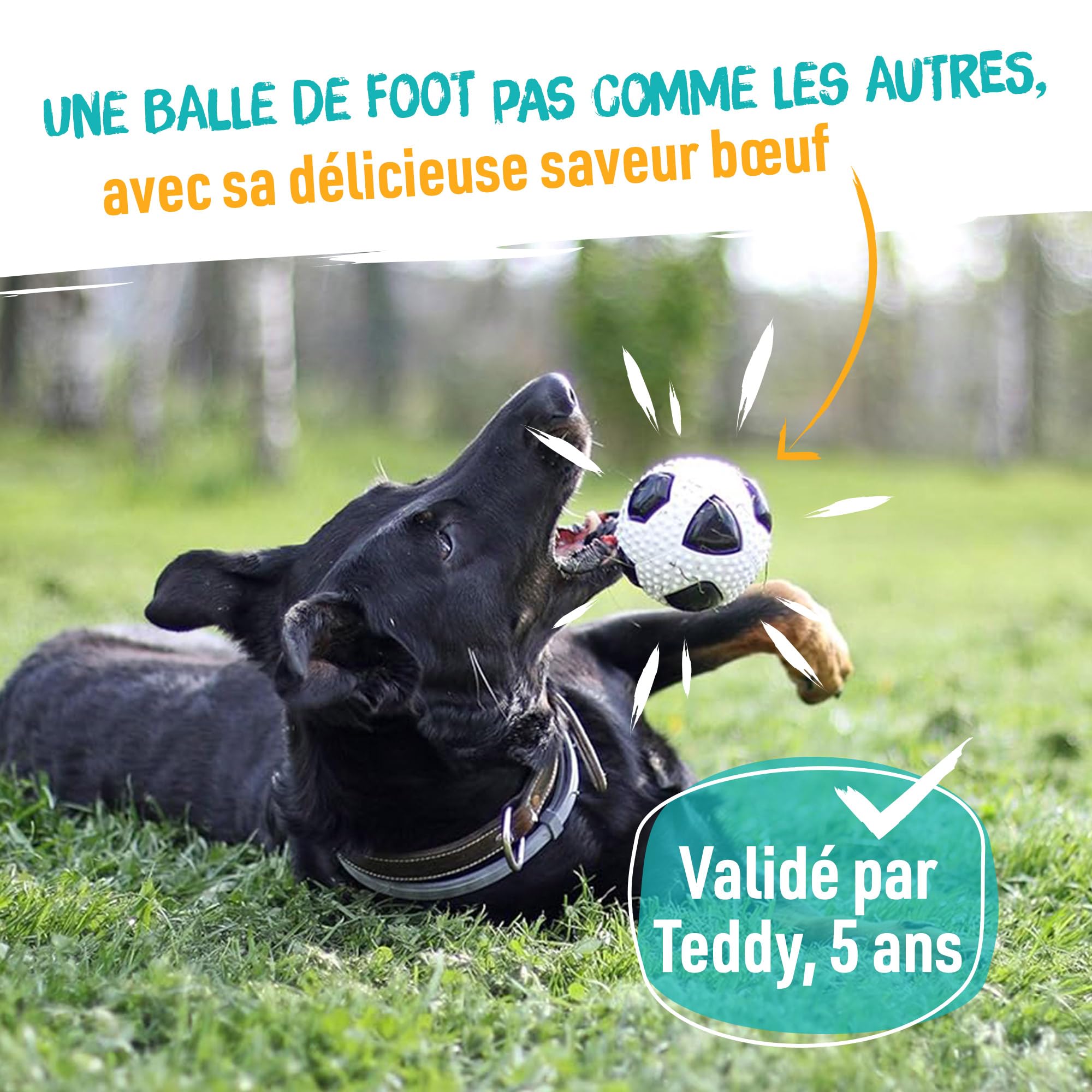 Aimé - Balle pour Chien 5 en 1 Saveur Bœuf - Jouet Interactif/Éducatif pour Développer et Stimuler les 5 Sens - Résistant Toutes Races et Tous Âges - Balle 6 cm