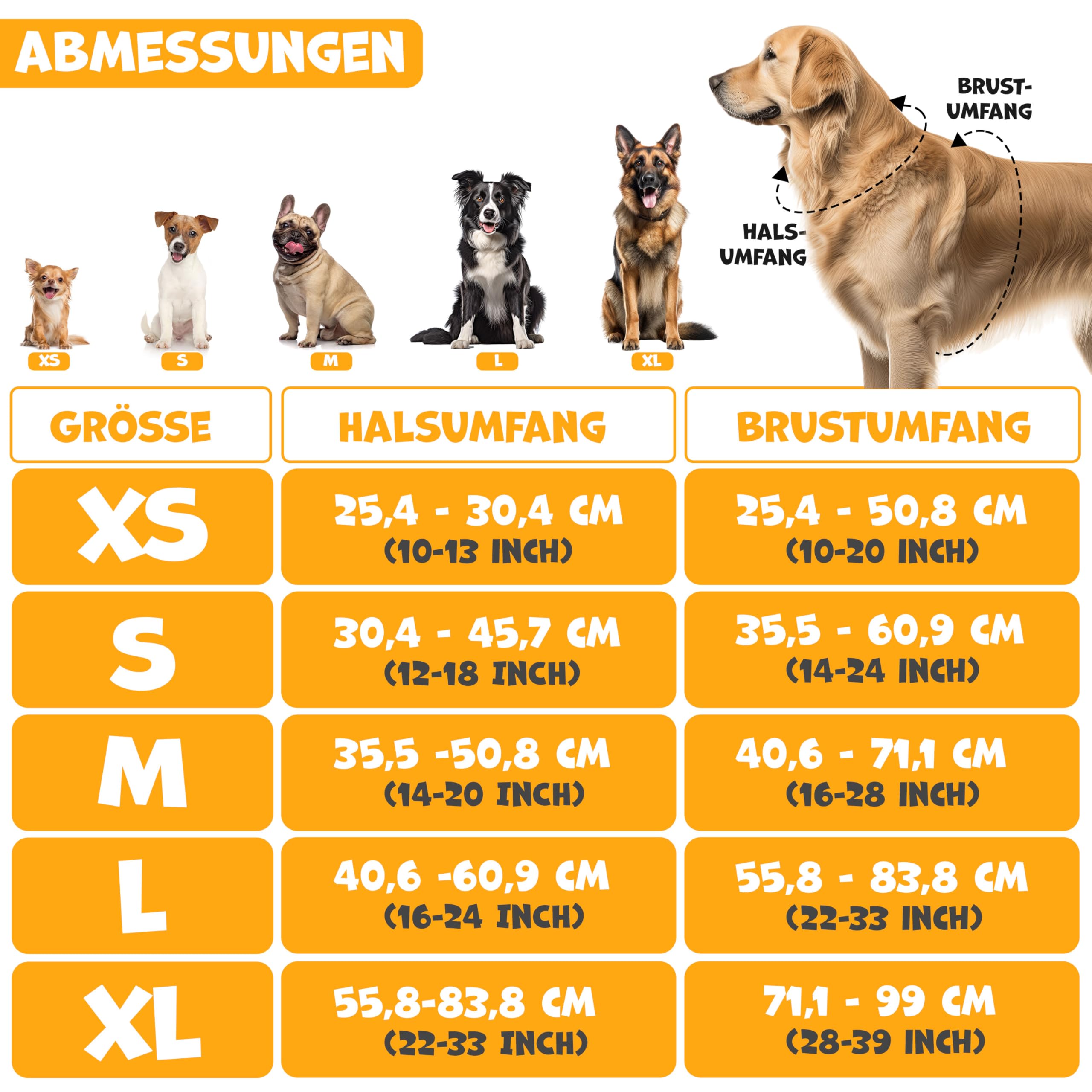 Harnais Chien Lovpet Réfléchissant Anti-Traction – Réglable XS à XL | Sacs Inclus