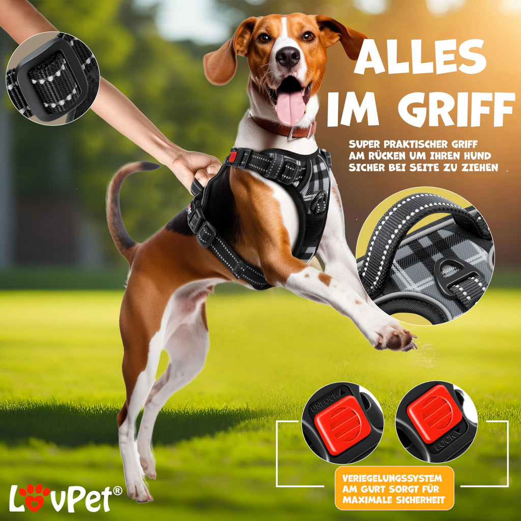 Harnais Chien Lovpet Réfléchissant Anti-Traction – Réglable XS à XL | Sacs Inclus