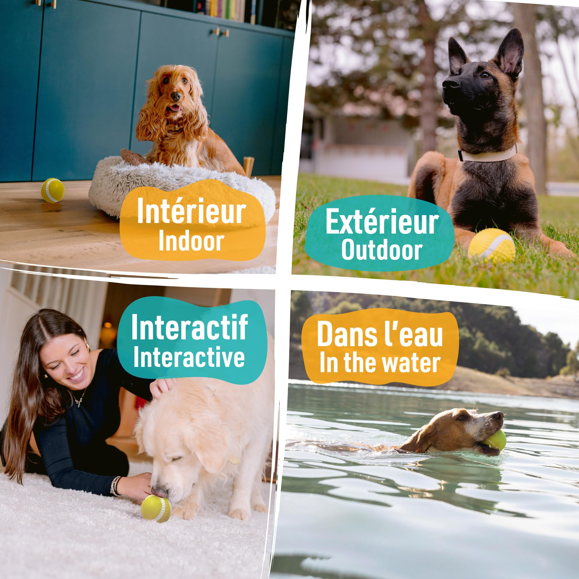 Aimé - Balle pour Chien 5 en 1 Saveur Bœuf - Jouet Interactif/Éducatif pour Développer et Stimuler les 5 Sens - Résistant Toutes Races et Tous Âges - Balle 6 cm