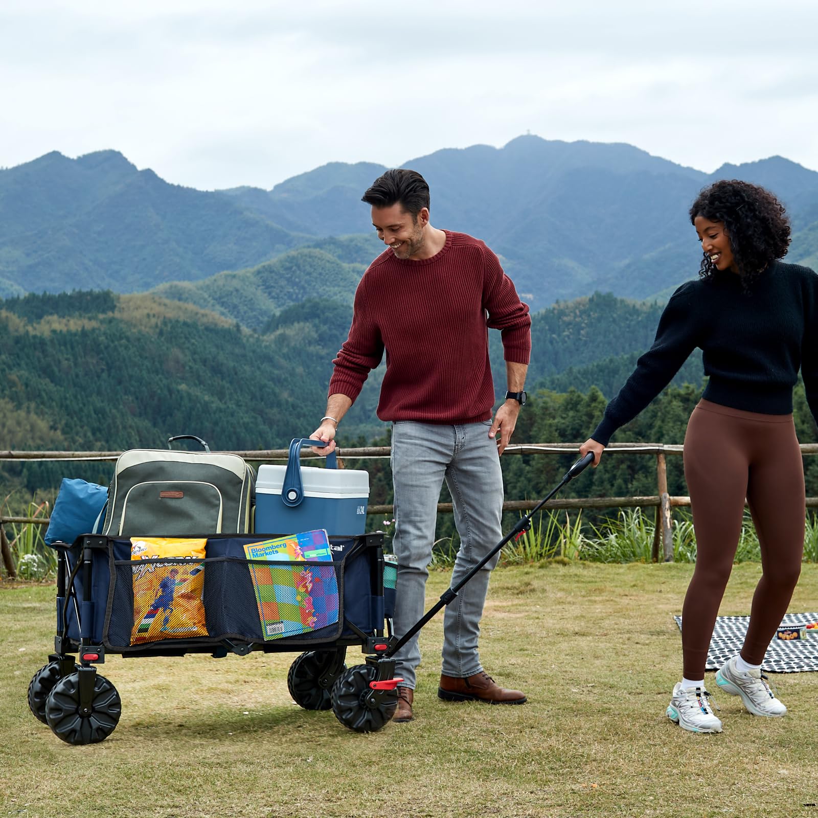 PORTAL Chariot de Plage Pliable – Chariot Tout Terrain Pliable avec Roues 20 cm, Poignée Réglable, 150 kg