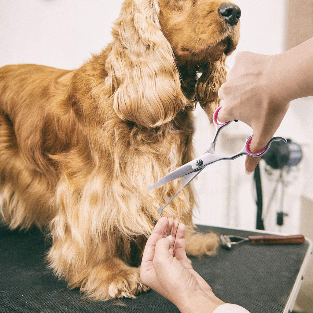 Gimars Ciseaux de toilettage professionnels pour chiens 4CR avec pointe ronde de sécurité, ciseaux droits, effilés et incurvés avec revêtement en titane
