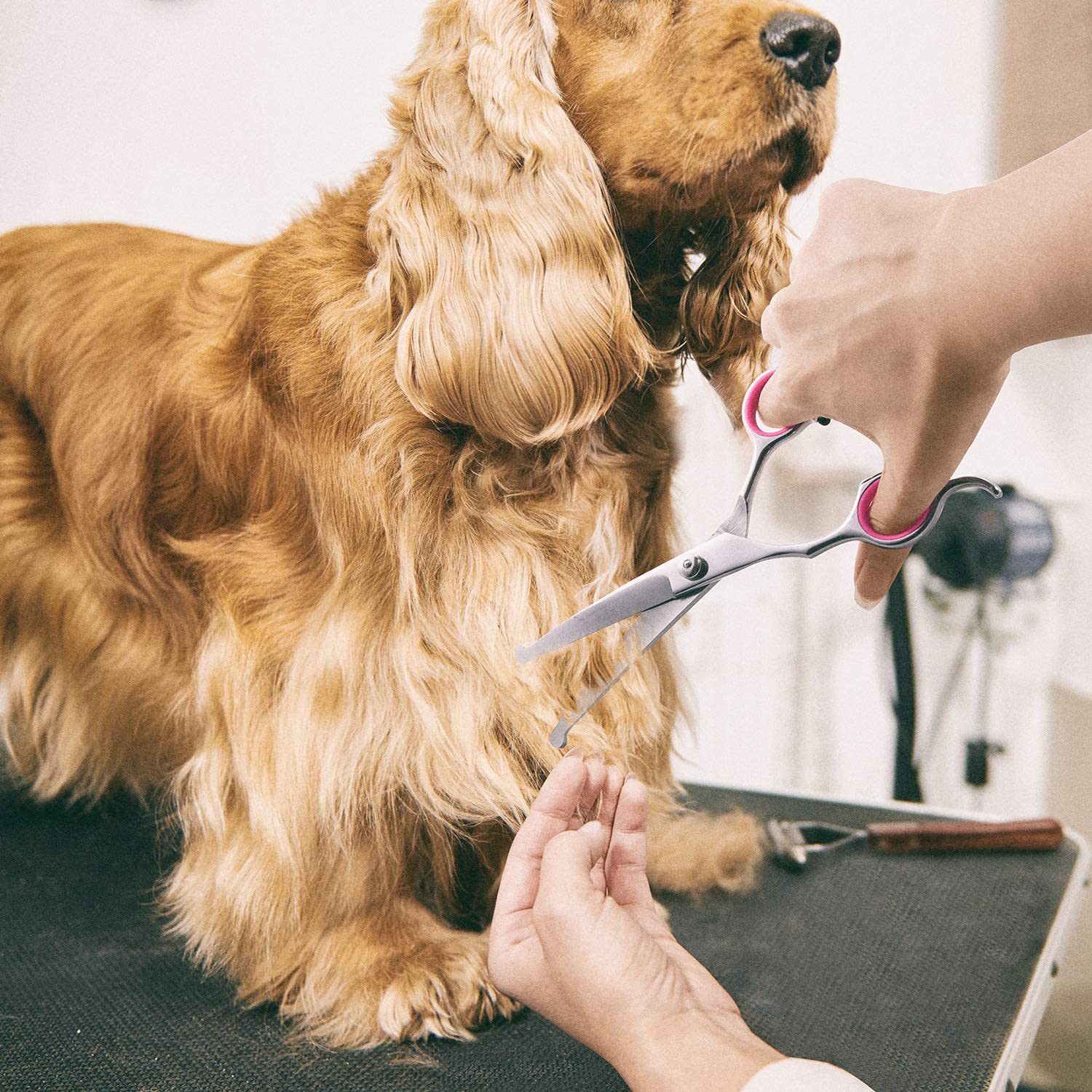 Gimars Ciseaux de toilettage professionnels pour chiens 4CR avec pointe ronde de sécurité, ciseaux droits, effilés et incurvés avec revêtement en titane